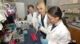 Chemical Modification Enables Stable 3-D RNA Nanoparticles