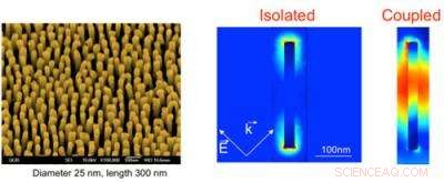 Ultrafast Transparency Achieved in Plasmonic Gold Nanorods