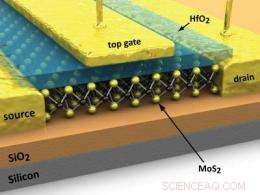 Revolutionary Molybdenite Transistors: Superior to Silicon and Graphene