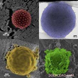 Plankton-Inspired Stealth Armour Enhances Microscopic Drug Delivery