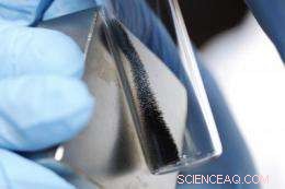 New Ovarian Cancer Treatment Approach Emerges from Recent Study