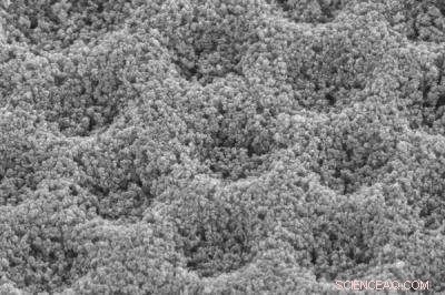 Stanford Scientists Unveil Solar Cell Breakthrough with Nanodome Plasmonics