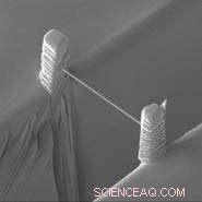 Revolutionary Device Illuminates the Elegant World of Science