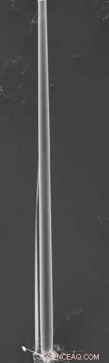 Cost-Effective Method to Fabricate Silicon Microwires for Sensors, Batteries, and Solar Cells