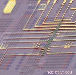 Scientists Announce First Programmable Nanoprocessor, Pioneering Next-Gen Computing