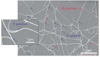 Carbon Nanotube Transistors Promise Affordable, Flexible Electronics