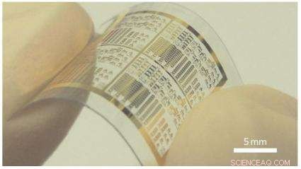 Carbon Nanotube Transistors Promise Affordable, Flexible Electronics