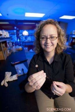 Innovative Material Enhances Solar Cell Performance