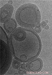 MIT Engineers Develop Cutting-Edge Nano-Scale Vaccines