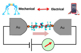 Engineering Molecular Components for Next-Generation Electronics