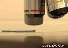 Pioneering Nanotech Research Accelerates Ultra‑Mini Solar Cell Development