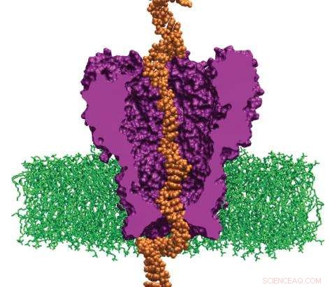 Simulating Whole-Genome Sequencing on Supercomputers: Advancing Precision Genomics
