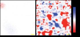 Exploring Atomic-Scale Chicken Wire Structures