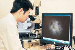 Manchester s Ultra‑Powerful Microscope Paves Way to Decode Viral Origins