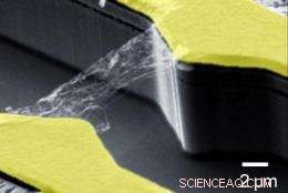 Ultra‑Fast Carbon‑Nanotube Photodetectors: A Breakthrough in Optoelectronics