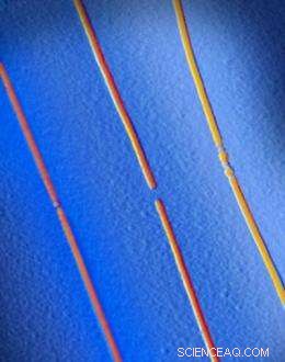 Revolutionary Battery Technology Significantly Extends Mobile Device Lifespan