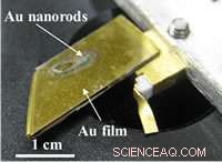 Gold Nanorod-Based Infrared Photodetector: High-Efficiency Plasmon Resonance Technology