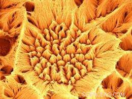 Yale Breakthrough: Bulk Metallic Glass Nanowires Enhance Fuel Cell Efficiency