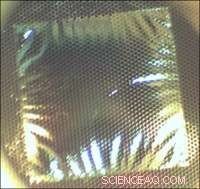 Harvard Engineers Showcase First Macro-Scale Thin-Film Solid Oxide Fuel Cell