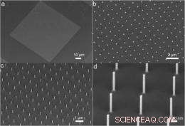 Engineers Harness Vertical Silicon Nanowires to Produce Vibrant, Tunable Colors