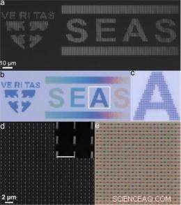 Engineers Harness Vertical Silicon Nanowires to Produce Vibrant, Tunable Colors