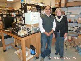 Silver Nanoparticles Pose Severe Threat to Arctic Ecosystems