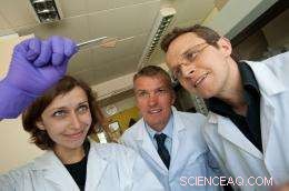 Warwick Scientists Create Ultra-Thin Gold Electrode for Affordable Organic Solar Cells