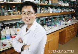 Purdue Nanopolymer Innovation Aims to Cut Cancer Drug Side Effects