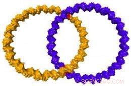 The World’s Smallest Wedding Rings: DNA-Interlocked Nanostructures