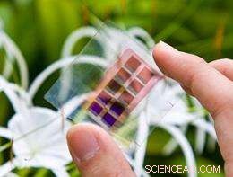 Affordable Solar Power: Innovative Low‑Cost Photovoltaic Materials for Light Harvesting