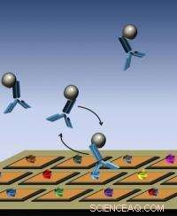 Revolutionary Biosensor Microchip Accelerates Drug Development