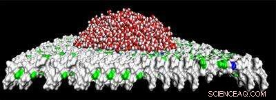 New Insights into Wetting on Nanopatterned Surfaces Enhance Material Design