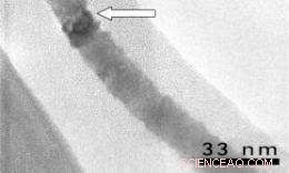 Ukrainian Engineers Secure Patent for Protein‑Based Electronic Circuits