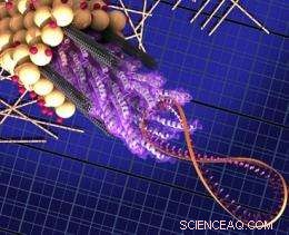 MIT Breakthrough: Engineered Virus Boosts Solar Cell Efficiency by 33%