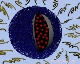 Innovative Nanoparticle Cloak Enhances Tumor Targeting