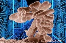 Learn from Nature: How Nanotech Can Emulate E. coli s Efficiency