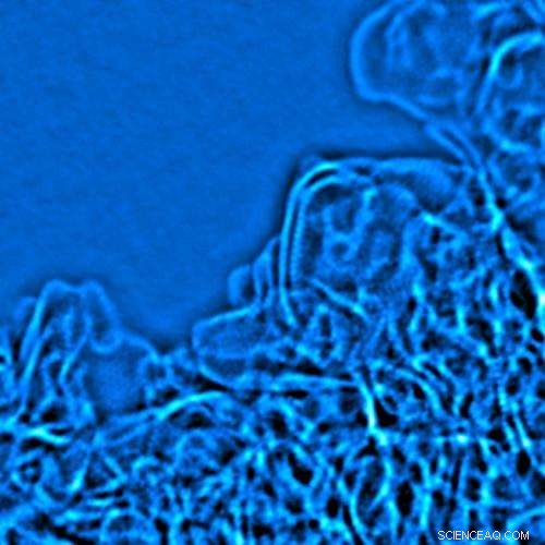 Activated Graphene Yields High-Performance Supercapacitors for Efficient Energy Storage