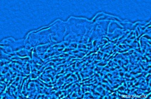 Activated Graphene Yields High-Performance Supercapacitors for Efficient Energy Storage