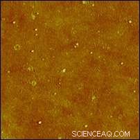 Evidence of Natural Formation of Silver Nanoparticles: A Breakthrough in Sustainable Nanotechnology