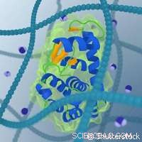 EU Researchers Reveal New Insights into Cell Viscosity, Advancing Cancer Understanding