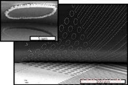Reusable Templates for Efficient Nanowire Production
