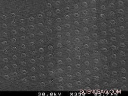 Experiments Clarify Nanofilm Array Formation, Settling Long-Standing Debate