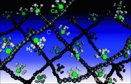 Carbon Grapevine Could Store Hydrogen, Opening New Fuel Pathways