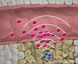 Advanced Nanoparticles Use Intercommunication to Target Tumors with Higher Precision