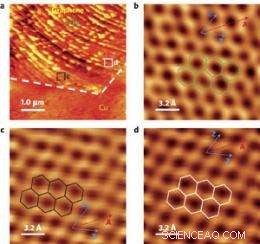 Scanning Tunneling Microscopy of Individual Grains in CVD-Grown Graphene