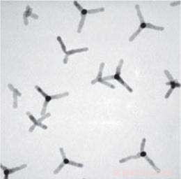 Scientists Discover Dual-Color Luminescence in Novel Tetrapod Nanocrystals, Defying Kasha’s Rule