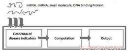 Biomolecular Computer Autonomously Detects Multiple Disease Markers