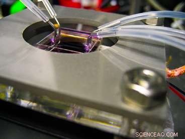 Step-by-Step Guide to Growing Nanowires and Nanoplates