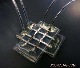 Soft, Flexible Memory Device Paves the Way for Biocompatible Electronics