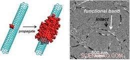 Optimizing Chemical Functionalization Enhances Carbon Nanotube Performance
